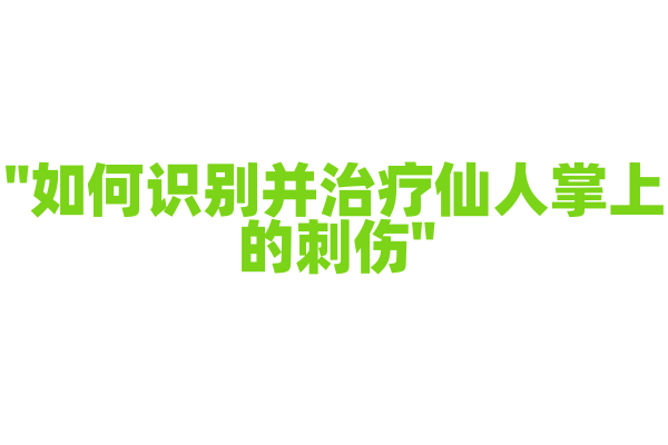 "如何识别并治疗仙人掌上的刺伤"